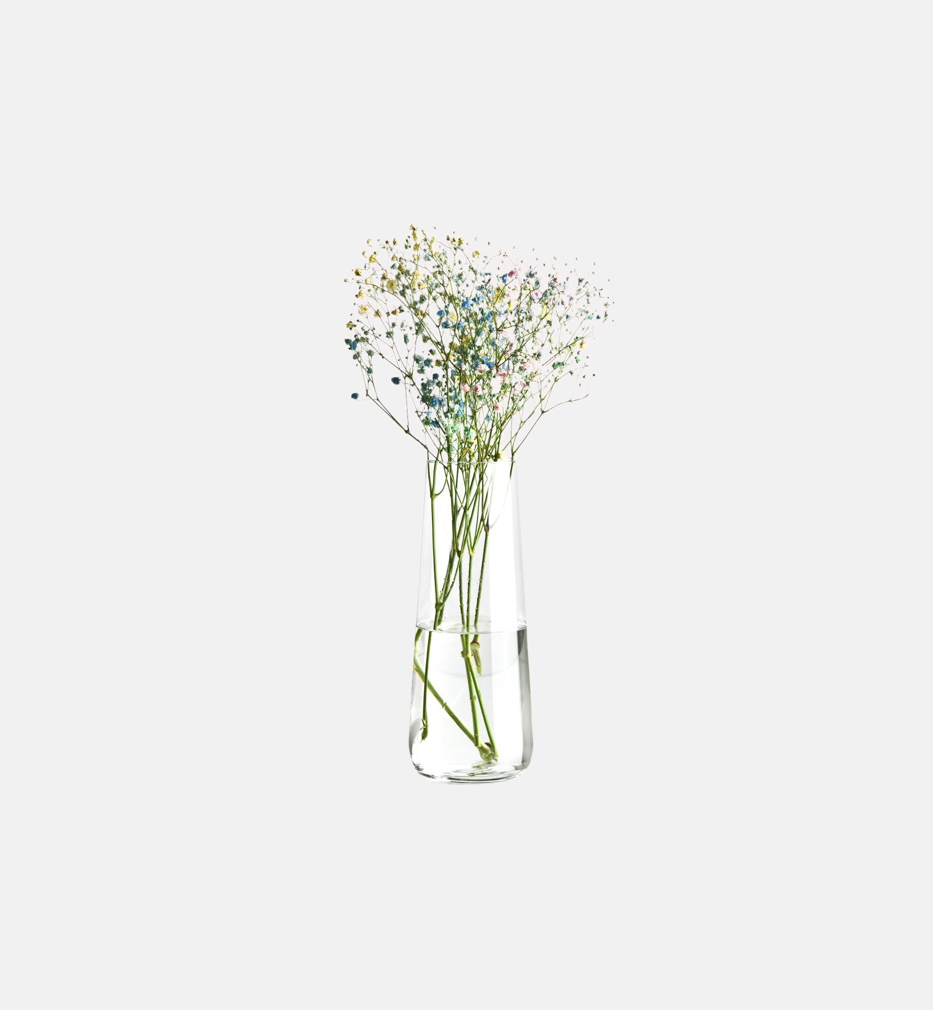 F73C735024001000_fert_01-2